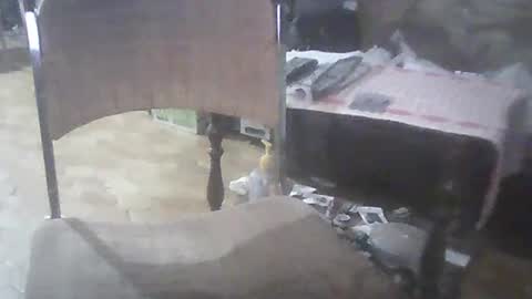 bigpenix online show from March 2025 03:56:01 AM