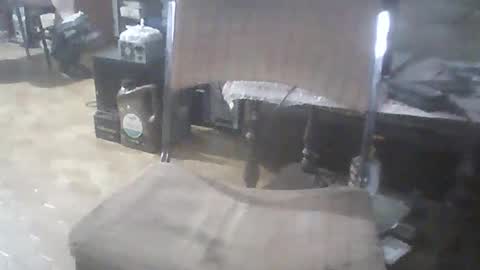 bigpenix online show from February 2026 01:13:02 AM