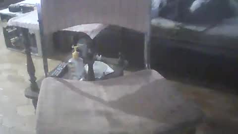 bigpenix online show from April 2026 11:39:02 PM