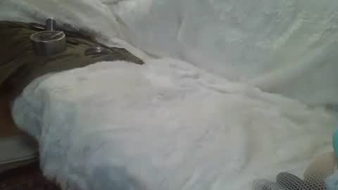 Snapshot of bigreallover chatting on December 2024 05:29:02 AM ...... online show from December 2024 05:29:02 AM