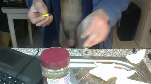 Snapshot of bigreallover chatting on January 2025 02:37:02 AM ...... online show from January 2025 02:37:02 AM