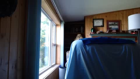 bigthicksatisfying2 online show from September 2025 08:32:02 PM