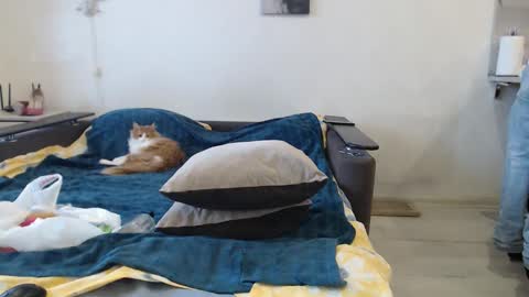 BigTwinsOmg online show from February 2026 06:26:01 AM