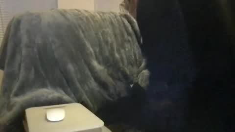 Bigwhitedickdaddy and BabyCakes online show from February 2026 11:50:01 AM