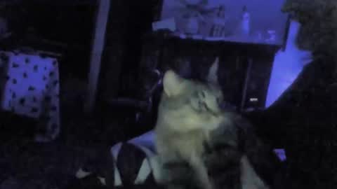 Snapshot of billenews chatting on February 2026 06:01:02 AM billenews online show from February 2026 06:01:02 AM