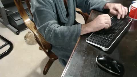 billy471 online show from December 2024 11:32:02 AM