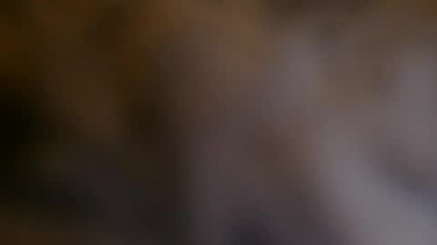 Snapshot of billyhuey12 chatting on December 2024 06:55:02 AM NUMROUNO MACK online show from December 2024 06:55:02 AM