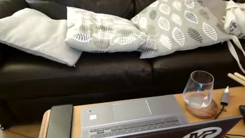 Snapshot of bindmedown chatting on February 2025 11:13:02 PM bindmedown online show from February 2025 11:13:02 PM