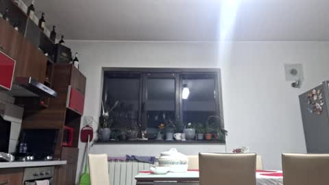 Snapshot of bisexdadd chatting on February 2025 03:35:01 AM bisexdadd online show from February 2025 03:35:01 AM