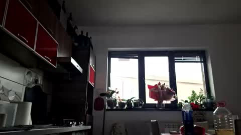 Snapshot of bisexdadd chatting on October 2025 12:26:01 PM bisexdadd online show from October 2025 12:26:01 PM