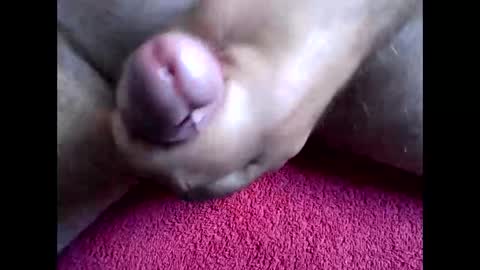 blabla78000 online show from September 2025 06:46:02 AM