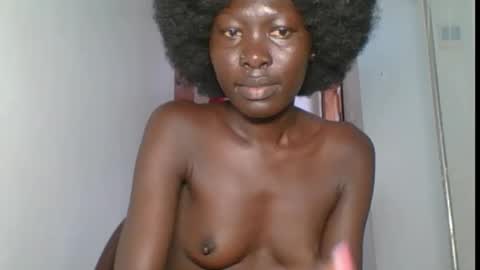 black diamond24 online show from December 2025 12:21:02 PM
