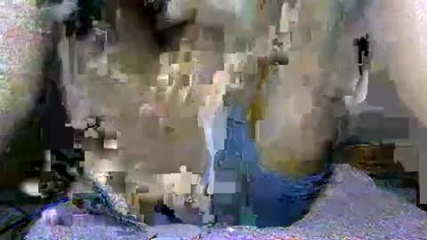 Snapshot of black_seed_donor chatting on September 2025 06:19:02 PM GOT YOU online show from September 2025 06:19:02 PM