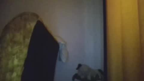 Snapshot of blackafrica2023 chatting on November 2025 05:29:01 AM black african online show from November 2025 05:29:01 AM