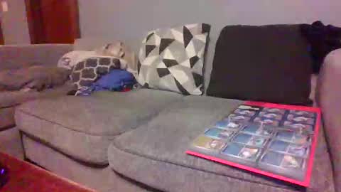 blaw_1321 online show from February 2026 09:31:02 AM