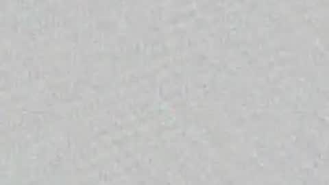 Zool online show from May 2026 08:30:01 AM