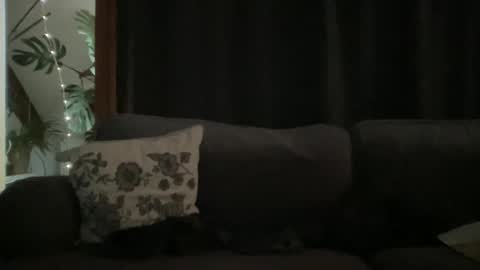 BlIdoL online show from December 2025 09:04:02 AM