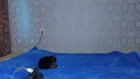 Snapshot of bloemetjes chatting on October 2025 10:00:02 PM bloemetjes online show from October 2025 10:00:02 PM