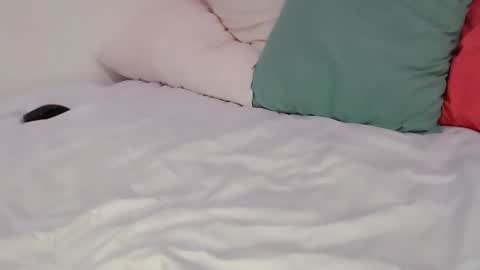 Sasha online show from December 2024 10:17:02 AM