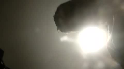 Snapshot of bobby160968 chatting on February 2025 06:26:02 PM bobby160968 online show from February 2025 06:26:02 PM