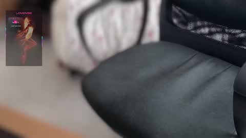 Bobby online show from March 2026 10:41:01 AM