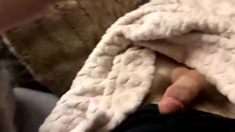 Snapshot of bobdillon401 chatting on January 2025 06:20:01 AM bobdillon401 online show from January 2025 06:20:01 AM