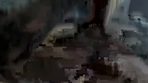 Snapshot of bobdillon401 chatting on February 2025 05:24:01 PM bobdillon401 online show from February 2025 05:24:01 PM