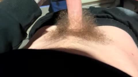 Snapshot of bobdillon401 chatting on February 2026 04:49:02 PM bobdillon401 online show from February 2026 04:49:02 PM