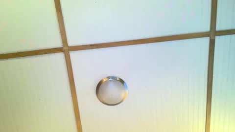 bodacioustits online show from November 2025 07:22:01 AM