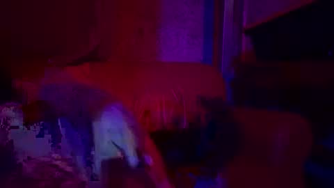 Sailorartemis online show from April 2026 06:49:01 PM