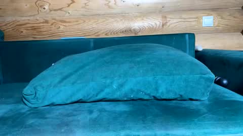 Nail and Olivia online show from October 2025 09:10:01 AM