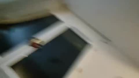 bomale89 online show from December 2024 11:09:01 PM