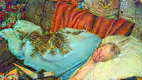 Snapshot of bomber59potsdam chatting on March 2025 09:37:02 PM Bomber59potsdam online show from March 2025 09:37:02 PM