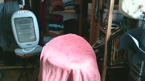 Bombero56 online show from December 2025 03:16:02 PM