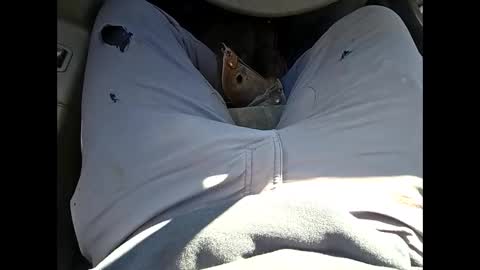 Snapshot of bombinshaman chatting on January 2026 04:34:02 PM bombinshaman online show from January 2026 04:34:02 PM