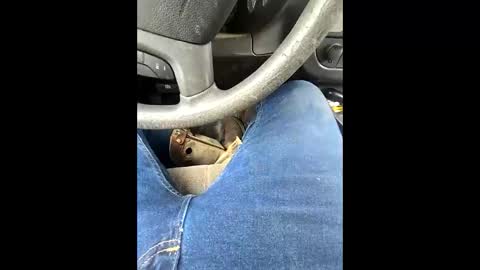 Snapshot of bombinshaman chatting on February 2026 05:19:02 PM bombinshaman online show from February 2026 05:19:02 PM