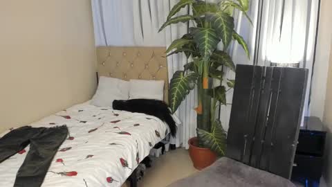 bombshelllaurax online show from March 2025 01:42:01 PM