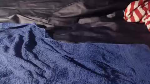 Snapshot of bomm65 chatting on November 2025 03:12:02 PM Bomm65 online show from November 2025 03:12:02 PM