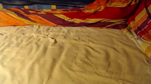 Snapshot of bomm65 chatting on December 2025 07:41:01 PM Bomm65 online show from December 2025 07:41:01 PM