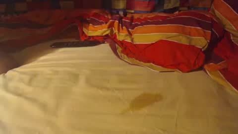 Snapshot of bomm65 chatting on December 2025 10:04:01 PM Bomm65 online show from December 2025 10:04:01 PM