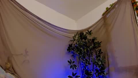 Snapshot of bonniecute_ chatting on October 2025 11:47:01 PM online show from October 2025 11:47:01 PM