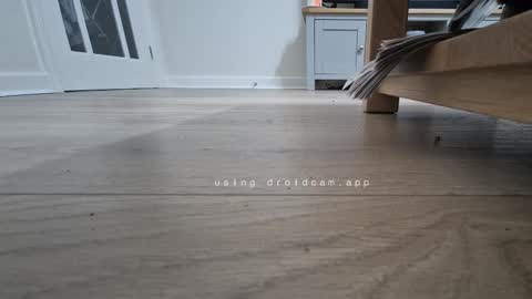 Snapshot of bonny8723 chatting on January 2026 06:57:02 PM bonny8723 online show from January 2026 06:57:02 PM