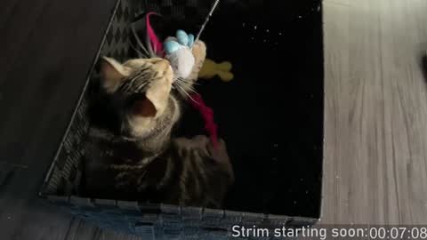 Booker Baxton online show from January 2025 04:00:02 AM