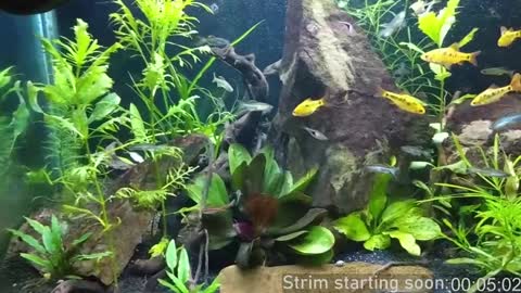 Booker Baxton online show from January 2025 04:04:01 AM