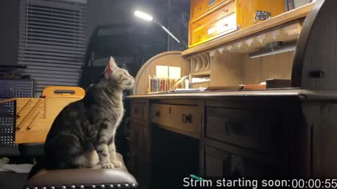 Booker Baxton online show from January 2025 04:08:02 AM