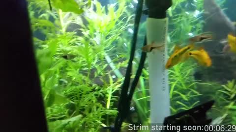 Booker Baxton online show from February 2025 04:03:02 AM