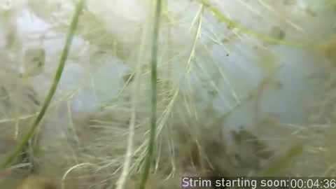 Booker Baxton online show from February 2025 04:03:02 AM