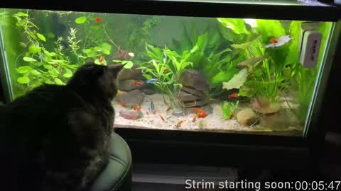 Booker Baxton online show from September 2025 03:06:02 AM