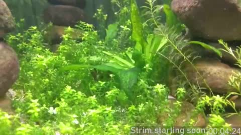 Booker Baxton online show from October 2025 03:05:02 AM