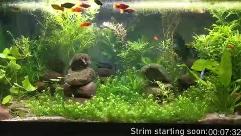 Booker Baxton online show from October 2025 03:04:02 AM